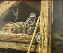 ‡ GARETH PARRY (British, b. 1951) oil on board - Little Owl perched in barn with rusty paint tin,