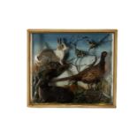 THE NATURAL HISTORY CLUB HOUSE: TAXIDERMY CASE: displaying mounted rabbits and birds, attributed