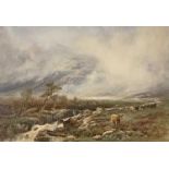 F CLIFFORD (British, 19th Century) watercolour - atmospheric mountainscape with grazing cattle by