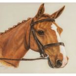 ‡ P F EVERS SWINDELL (British, 20th Century) gouache on silk - head study of a horse, titled