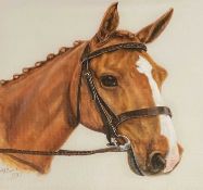 ‡ P F EVERS SWINDELL (British, 20th Century) gouache on silk - head study of a horse, titled