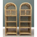 PAIR OF ARCHED TOP CANEWORK SHELVES with twin upper doors, 183cms H, 64cms W, 39cms D Provenance: