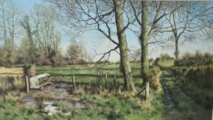 ‡ TONY WOODING (British) oil on canvas - early spring view of a country lane with trees and a