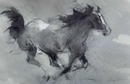 ‡ WILLIAM SELWYN limited edition (241/500) print – galloping cob, signed, 29.5 x 42cms Provenance: