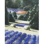 ‡ NAOMI TYDEMAN watercolour - untitled, lavender fields, Provence, France, signed, 20 x 16cms