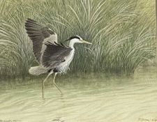 PHILIP SNOW watercolour - titled 'Malltraeth Heron', signed, 34 x 42cms