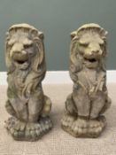 A PAIR OF RECONSTITUTED STONEWARE SEATED GARDEN LIONS 63cms H, 30 x 30cms bases