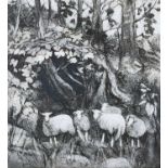 ‡ DIANA ARMFIELD RA limited edition (12/30) monocolour lithograph - entitled verso 'Sheep Against