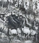 ‡ DIANA ARMFIELD RA limited edition (12/30) monocolour lithograph - entitled verso 'Sheep Against