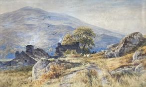 JOHN STEEPLE (1823-1887) watercolour - cottages on the old road at Capel Curig, entitled verso '