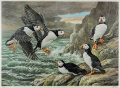 BASIL EDE limited edition (196/750) colour lithograph - puffins on a rocky sea cliff, signed and