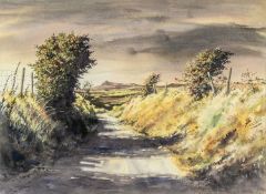 ‡ JAN GREGSON watercolour - Pembrokeshire country lane, signed, 54 x 74.5cms Provenance: private