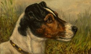 FOLLOWER OF MAUD EARL oil on board - 'Raby Golddust' Prize Smooth Fox Terrier, bears signature and