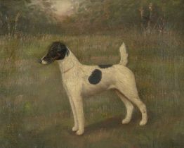HENRY CROWTHER oil on canvas - fox terrier portrait, signed and dated 1912, named 'Nippitt' to the