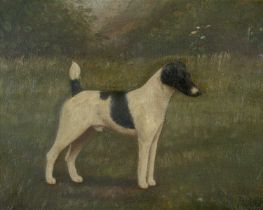 HENRY CROWTHER oil on canvas - fox terrier portrait, signed and dated 1912, name plaque missing from