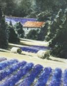 ‡ NAOMI TYDEMAN watercolour - untitled, lavender fields, Provence, France, signed, 20 x 16cms