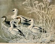 ‡ AFTER CHARLES FREDERICK TUNNICLIFFE OBE (1901-1979) limited edition (448/500) lithograph - 'Smew',