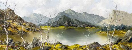 ‡ CHARLES WYATT WARREN oil on board - Eryri (Snowdonia) landscape with silver birch trees, signed,