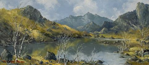 ‡ CHARLES WYATT WARREN oil on board - Eryri (Snowdonia) landscape with lake and silver birch