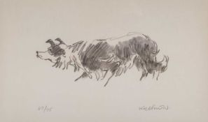 ‡ SIR KYFFIN WILLIAMS RA limited edition (67/75) print - Mott the sheepdog, fully signed in