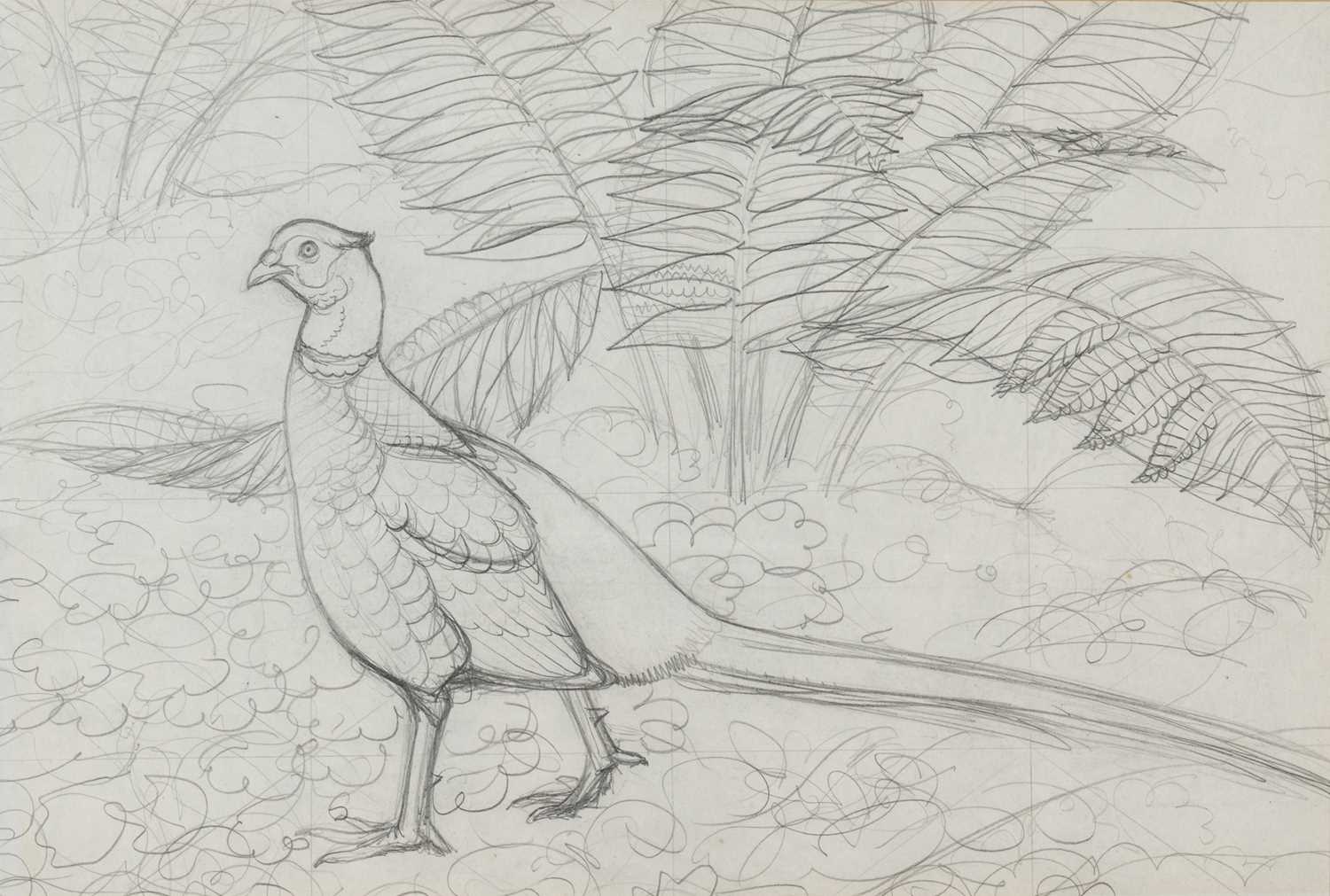 ‡ CHARLES FREDERICK TUNNICLIFFE OBE RA pencil - preliminary pencil sketch of a standing pheasant