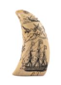 SCRIMSHAW WHALE TOOTH, carved and stained with 4 vignettes of ponies swimming, H.M.S. Victory