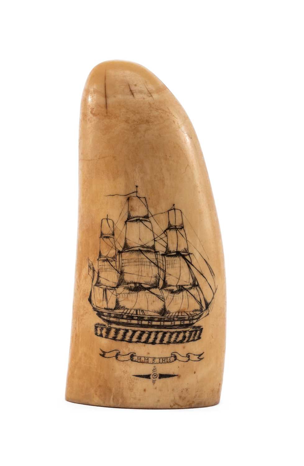 SCRIMSHAW WHALE TOOTH, carved and stained with portrait of H.M.S.Ihis (Isis?) reversed with Royal