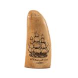 SCRIMSHAW WHALE TOOTH, carved and stained with portrait of H.M.S.Ihis (Isis?) reversed with Royal