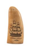 SCRIMSHAW WHALE TOOTH, carved and stained with portrait of H.M.S.Ihis (Isis?) reversed with Royal