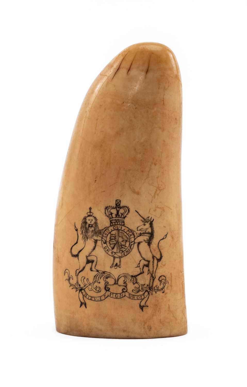 SCRIMSHAW WHALE TOOTH, carved and stained with portrait of H.M.S.Ihis (Isis?) reversed with Royal - Image 2 of 2