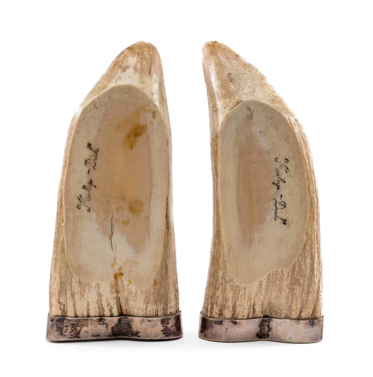 PAIR SCRIMSHAW WHALE TEETH, carved and stained with whale fluke and tall ship, titled verso 'Moby- - Image 2 of 2