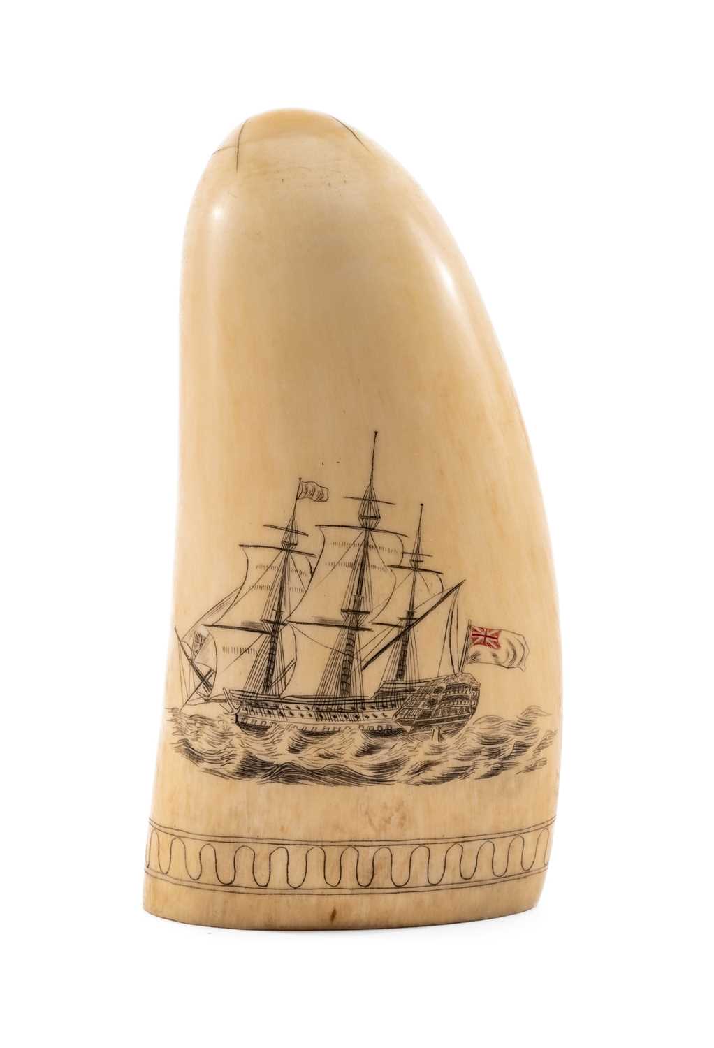 SCRIMSHAW WHALE TOOTH, carved and stained with half length portrait of Admiral Lord Nelson - Image 2 of 2