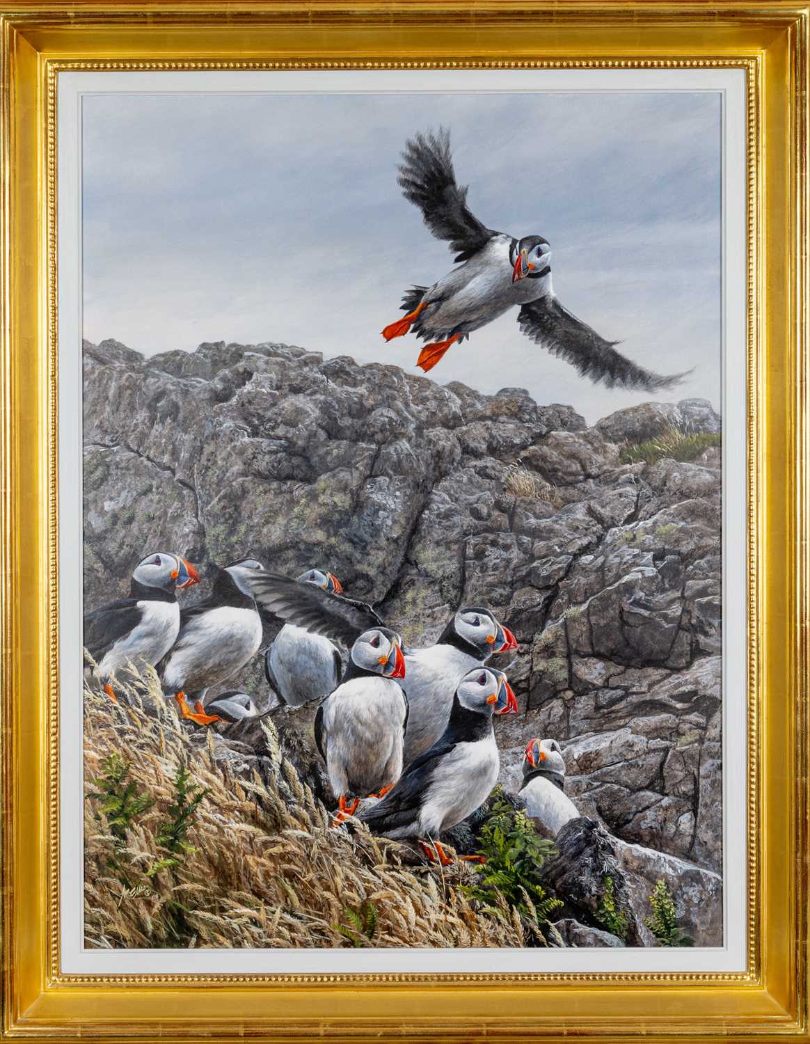 ‡ ANDREW ELLIS (British, b. 1971) acrylic on board - entitled 'Puffins on Skomer Island', signed, 81