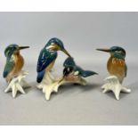 KARL ENS PORCELAIN BIRD FIGURINE GROUP, 2 x kingfishers, 13cms H, and pair of Karl Ens perched