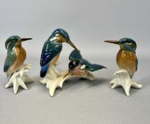 KARL ENS PORCELAIN BIRD FIGURINE GROUP, 2 x kingfishers, 13cms H, and pair of Karl Ens perched