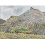 SEIRIOL DAVIES (British, 20th Century) oil on board - titled verso 'Pyrenees 1975 yn Ardal