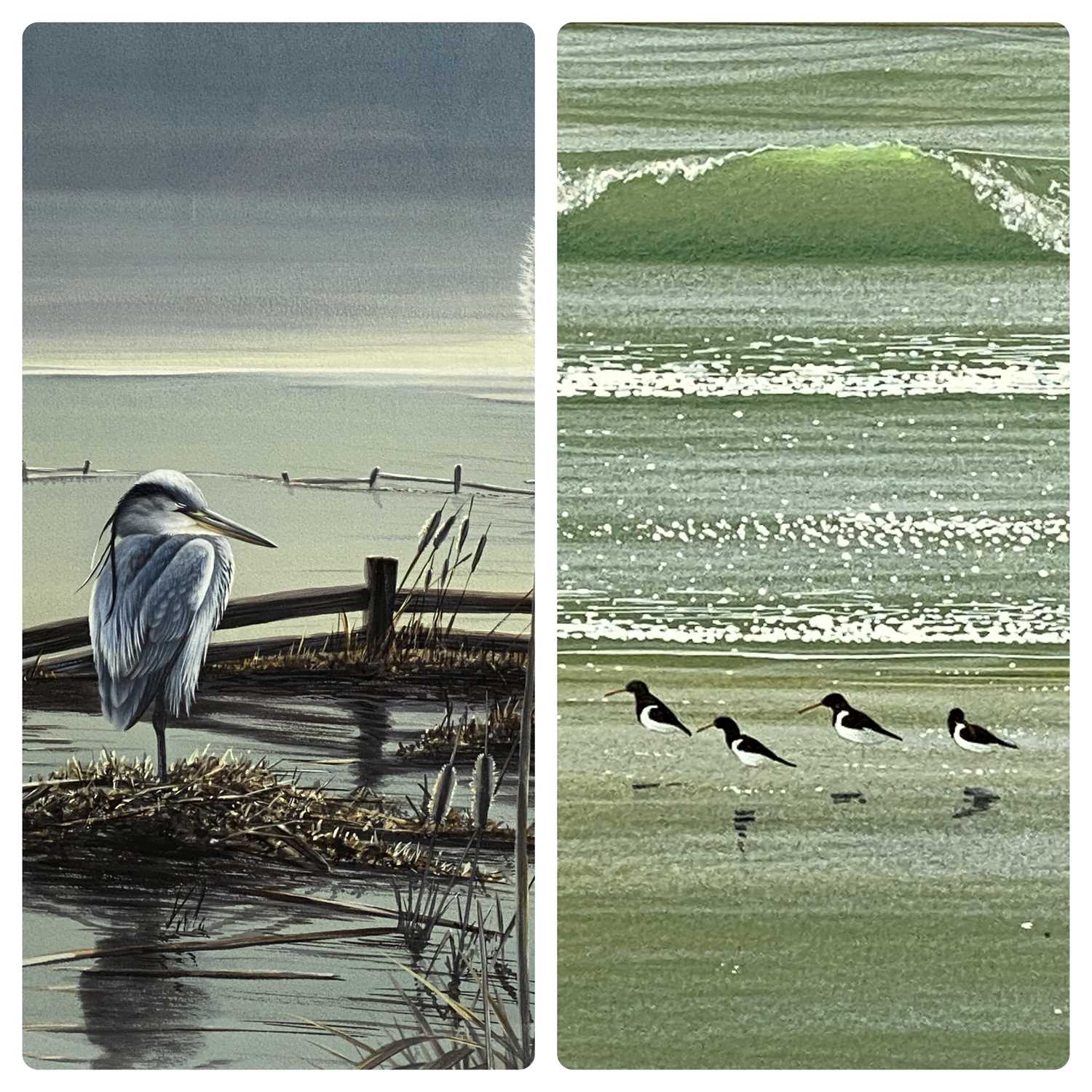 WARWICK HIGGS watercolour - Heron beside bullrushes, signed lower left, 50 x 37cms, and WINCHESTER