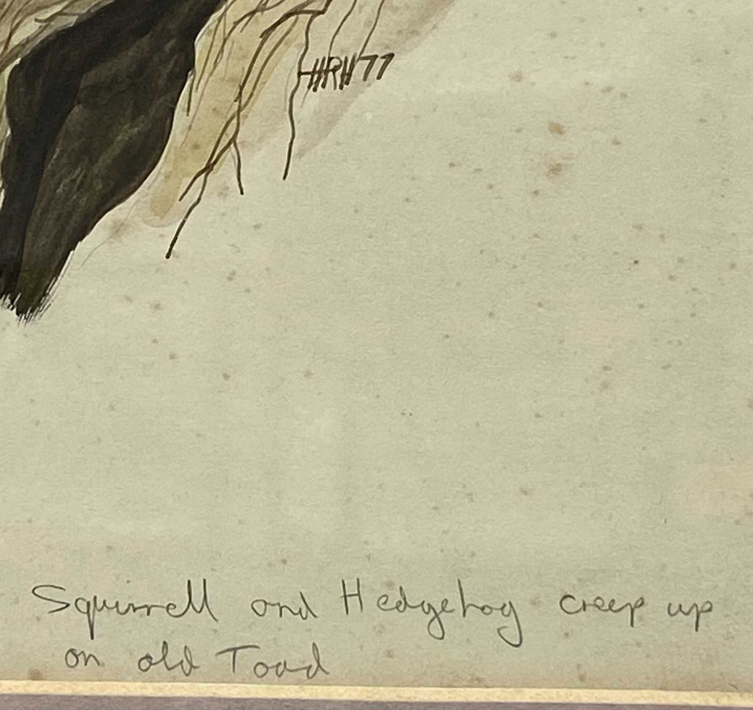 INITIALLED HRH & DATED '77, 2 x watercolours - toad sitting on a lily pad, inscribed 'Squirrel and - Image 3 of 7