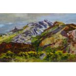 HELEN PARRY-JONES oil landscape - Bodafon mountain, Anglesey, signed and dated 2006, 47 x 74cms