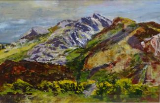 HELEN PARRY-JONES oil landscape - Bodafon mountain, Anglesey, signed and dated 2006, 47 x 74cms