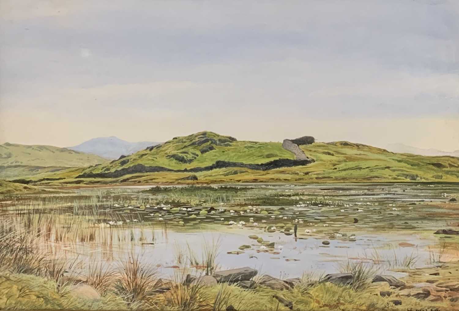 JOHN SINCLAIR (active 1871-1922) watercolour - of rolling hills and lily pads on a lake to the