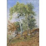 JOHN SINCLAIR (active 1871-1922) watercolour - sheep and lambs within a copse of trees, titled verso