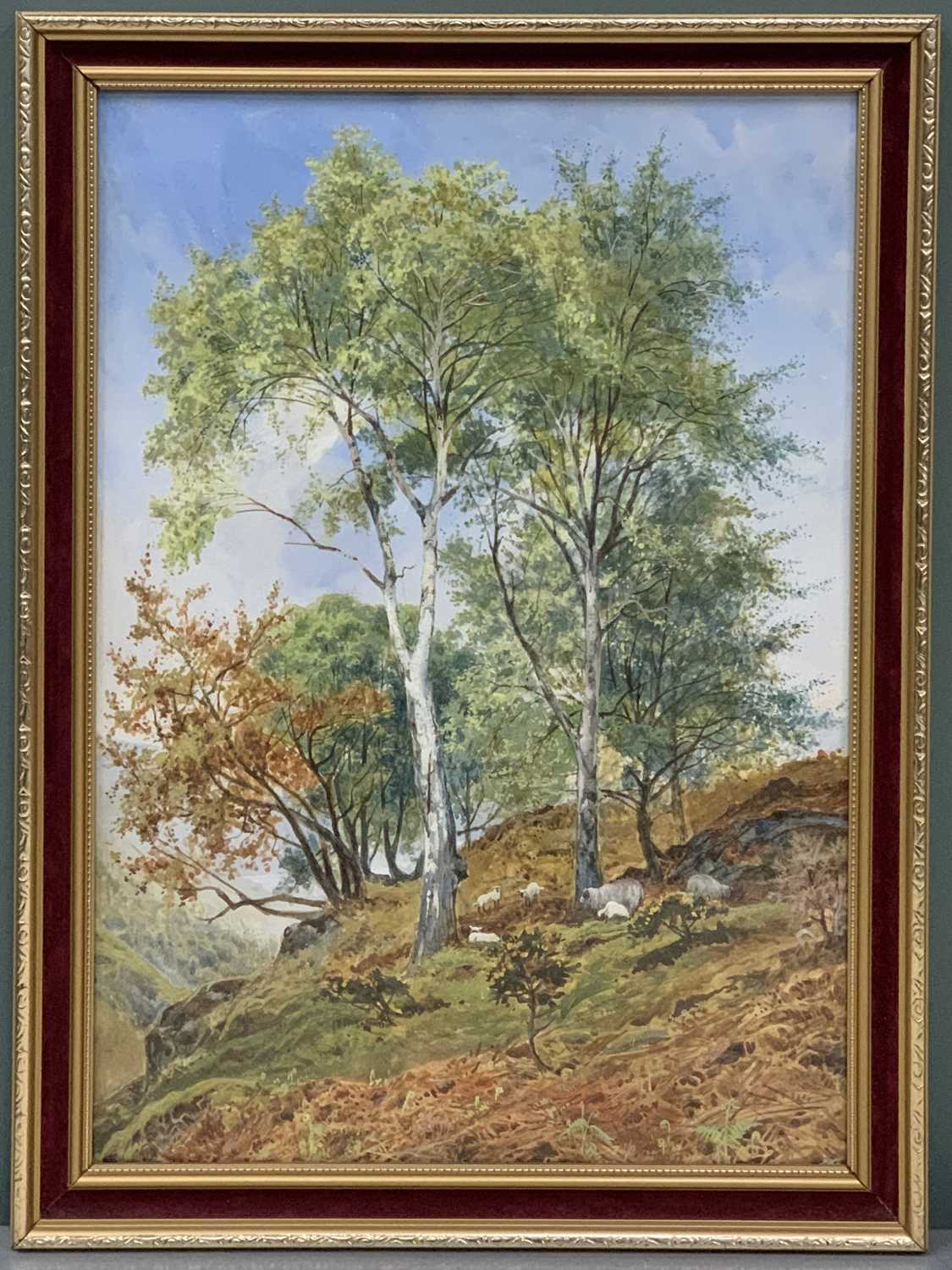 JOHN SINCLAIR (active 1871-1922) watercolour - sheep and lambs within a copse of trees, titled verso - Image 2 of 3