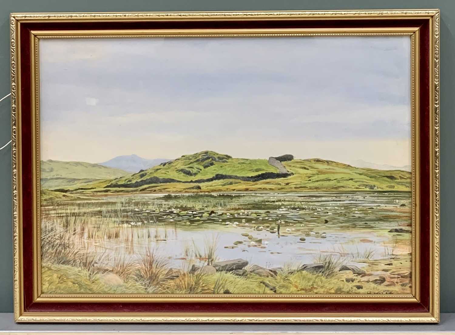 JOHN SINCLAIR (active 1871-1922) watercolour - of rolling hills and lily pads on a lake to the - Image 2 of 4