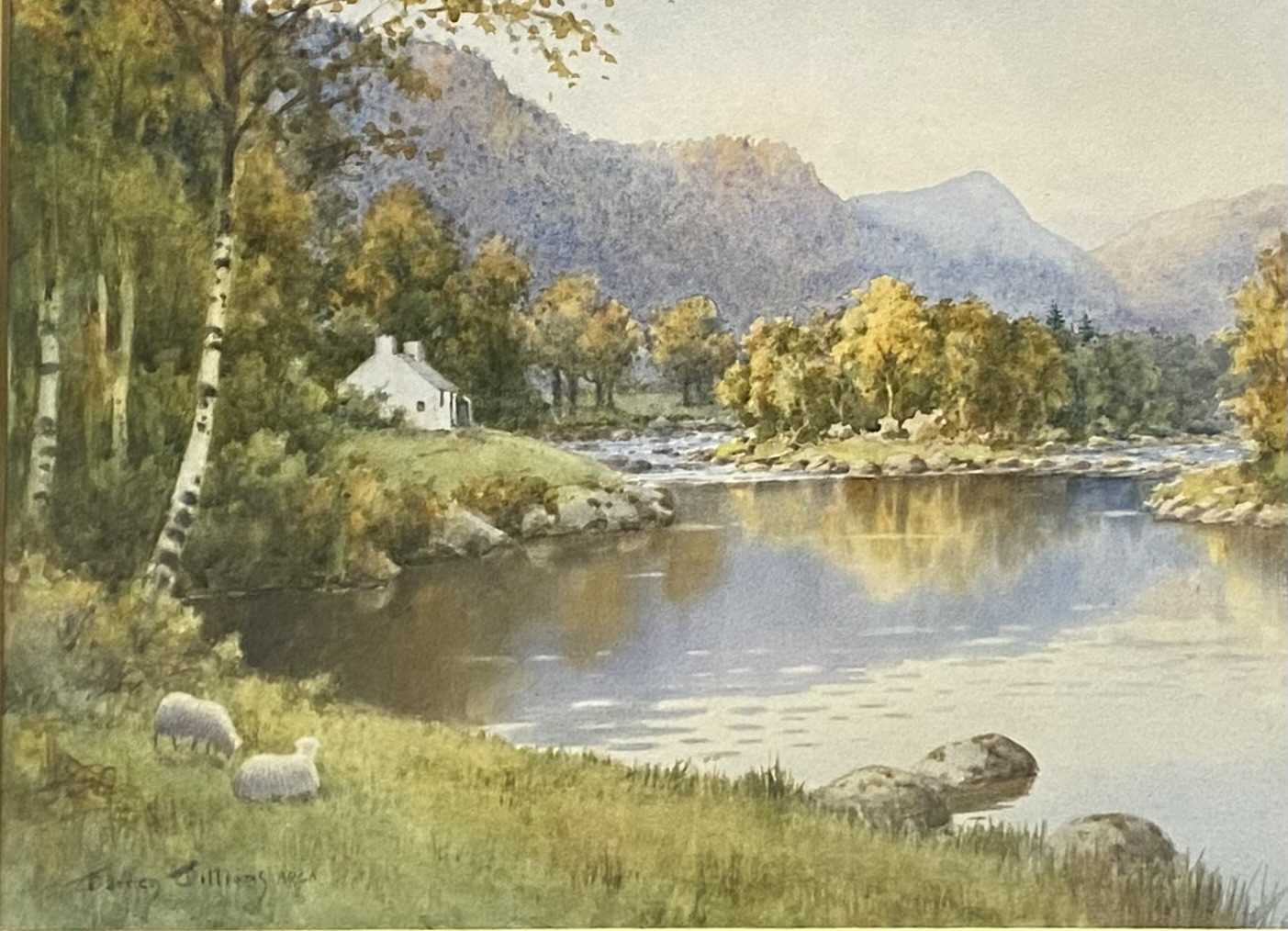 WARREN WILLIAMS watercolour - Conwy Valley with whitewashed cottage to background and sheep at