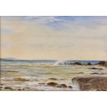 JOHN SINCLAIR (active 1871-1922) watercolour - depicting gulls over a rocky shore, signed lower