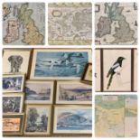LARGE MIXED QUANTITY OF REPRODUCTION MAPS, ORNITHOLOGICAL PRINTS & PEN AND INK STUDIES, with a