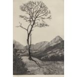 DOROTHY M FAIRLEY (1894-1956) limited edition (59/75) wood-engraving - tree with mountains, signed