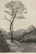 DOROTHY M FAIRLEY (1894-1956) limited edition (59/75) wood-engraving - tree with mountains, signed