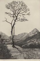 DOROTHY M FAIRLEY (1894-1956) limited edition (59/75) wood-engraving - tree with mountains, signed
